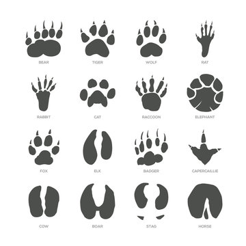 Animal trails - modern isolated vector set