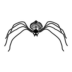 Spider Skeleton Icon Symbol Design. Vector illustration of spider isolated on white background. Halloween graphic.