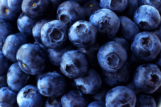 Blueberry full frame background