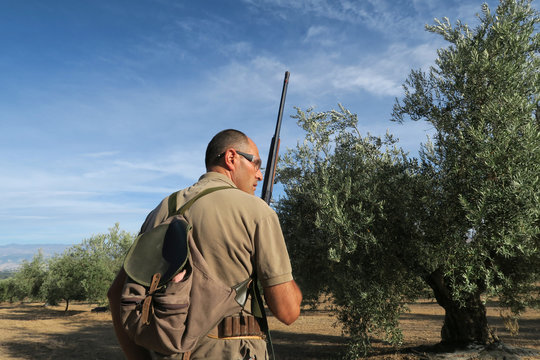 A hunter surrounding by olive trees