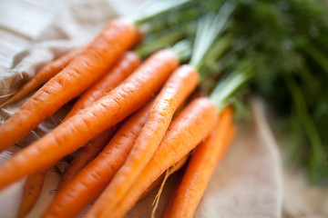 Fresh organic carrot