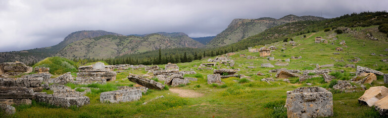 Fototapeta na wymiar Field of Ruins in Hierapolis