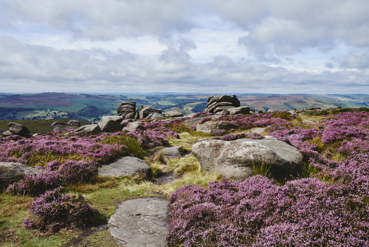 Drehidoughteragh — Coorleagh,gearhanagoul