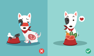 right and wrong ways to feed dogs,illustration