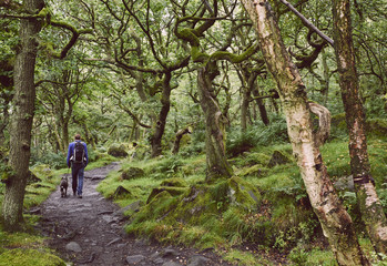 Male walking with his dog through ancient Oak woodland. Padley Gorge, Derbyshire, UK.