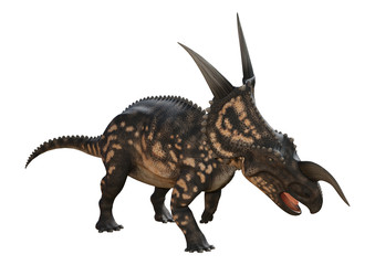 Fototapeta premium 3D Rendering Dinosaur Einiosaurus on White