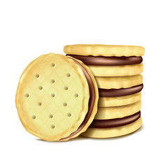 Vector illustration of several sandwich-cookies with chocolate filling, isolated on white background in realistic style.
