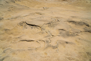 Fototapeta na wymiar abstract sand soil texture background