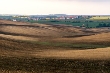 Panoramic view of cultivated field in South Moravia, Czechia. Beautiful wavy fields.