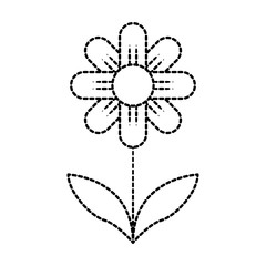 cute flower plant with petals and leaf icon vector illustraction