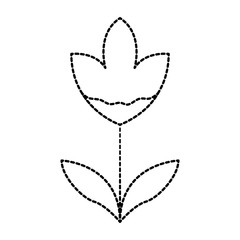 cute flower plant with petals and leaf icon vector illustraction