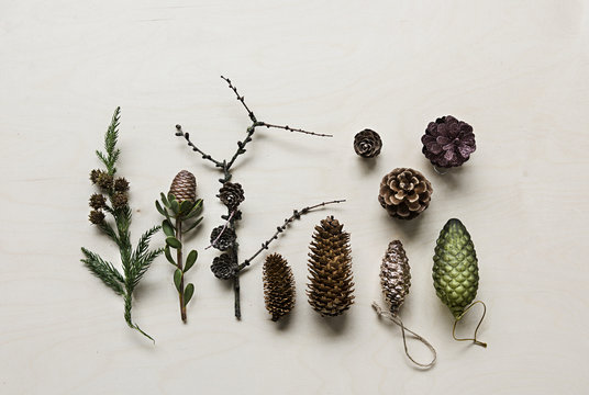 Pinecones side by side on wooden background