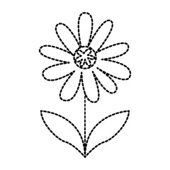 cute flower plant with petals and leaf icon vector illustraction