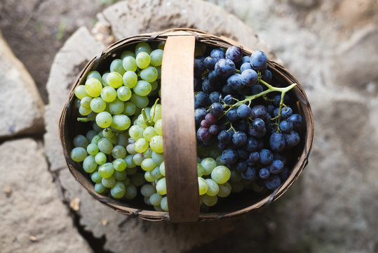 Green and dark grape in basket