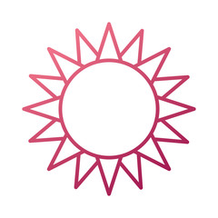 gardening sun climate nature environment flora