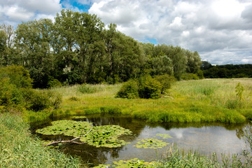 Landschaft mit Teich in den Donau Auen in Österreich