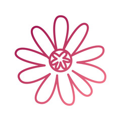 flower stem leaves nature