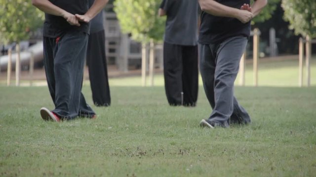 Tai chi slowmotion in nature