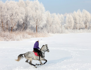 Pretty woman galloping her horse through snow 