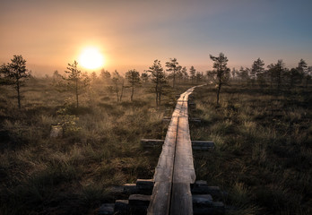 Scenic view from swamp with wooden path at autumn morning in Torronsuo National park, Finland