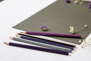  set of colored pencils on a sheet of gray paper and purple and white dried flowers