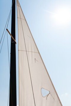 jib on a sports catamaran class F16