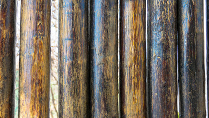 Sichtschutz, Bambuszaun, Hintergrund
