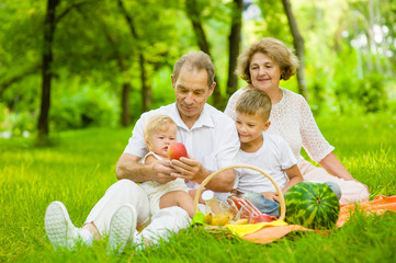 Happy family picnic. Elderly people have fun on a picnic with their grandchildren