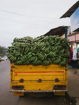 Truck overfull of bananas