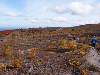 Obraz premium OLYMPUS DIGITAL CAMERA