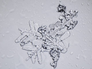real snowflake
