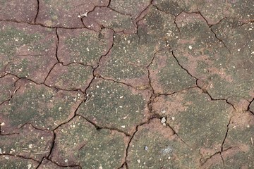 Surface of mud with cracks