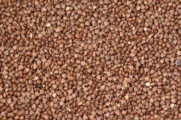 Buckwheat grains background