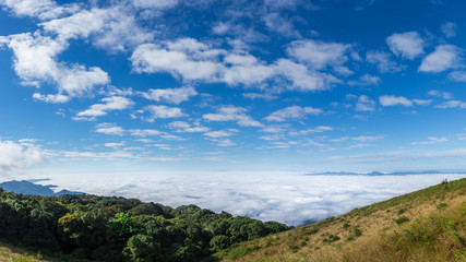 Fototapeta na wymiar Mist over the mountains with blue sky background at doi inthanon. thailand