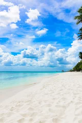 Afwasbaar Fotobehang Strand en zee paradise tropical beach palm