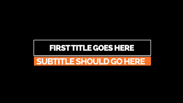 Corporate Title 29
