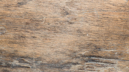 Naklejka premium wood texture very old oak, the rough wood is not uniform