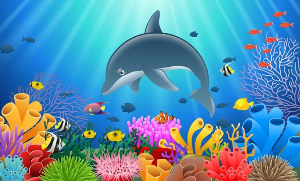 Cartoon dolphin with Coral Reef Underwater in Ocean. Vector illustration