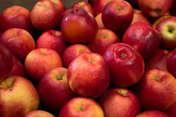 Fototapeta na wymiar Fresh Apples From the Orchard