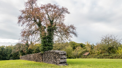 Brennholzlager im Herbst © focus finder
