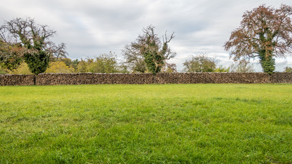 Brennholzlager im Herbst © focus finder