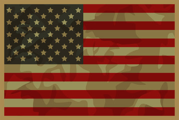 Usa Camouflage Flag. Veterans Day