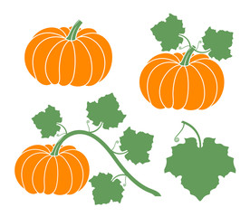 Pumpkin set. Isolated pumpkin on white background