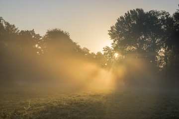 Fototapeta na wymiar foggy morning