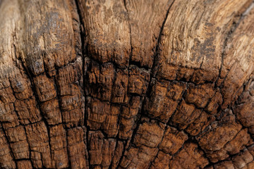 Antique wood texture