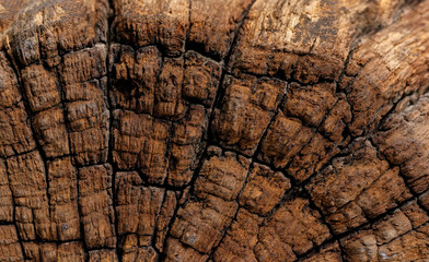 Antique wood texture