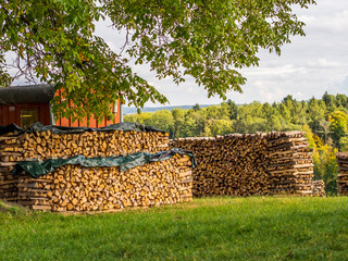 Brennholzlager im Herbst © focus finder