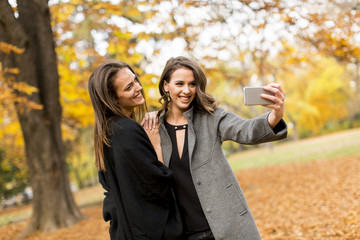 Fototapeta premium Two young women taking selfie with mobile phone in the autumn park