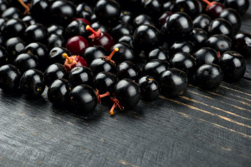 Berries of bird cherry