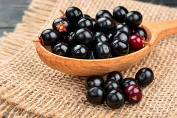 Bird cherry in spoon